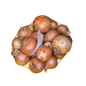 Cebula