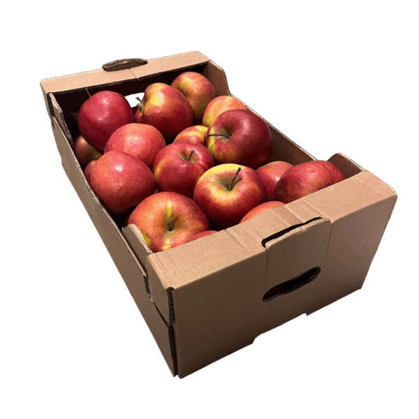 Rdeči Jonagold jabolka