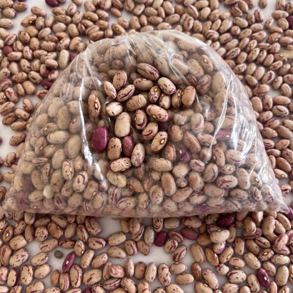 Fižol Češnjevec (1 kg)