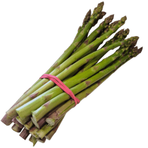Sparglji