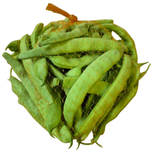 Strocji fizol 2