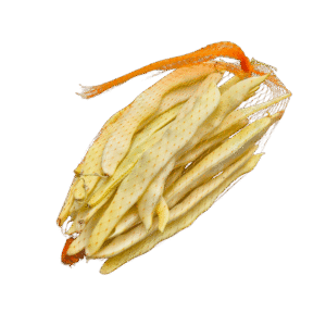 Strocji fizol