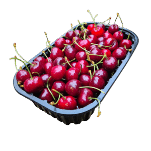 Cesnje