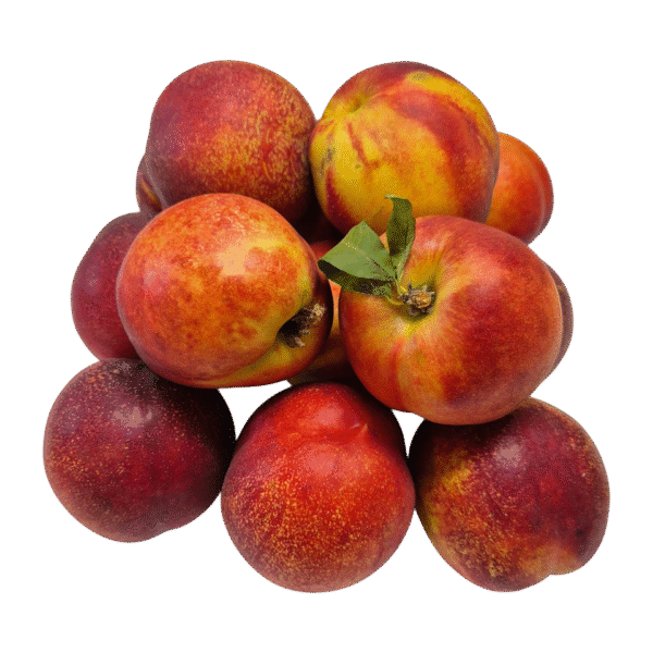 Nektarine (~1,70 kg)