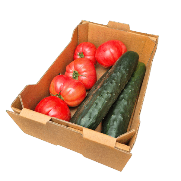 Paradižnik (1 kg) + Kumare (1 kg)