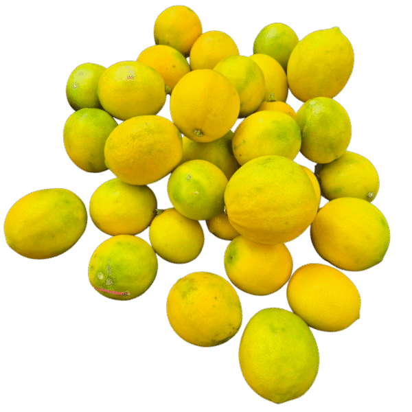 Limone
