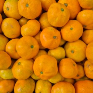 Mandarine 1