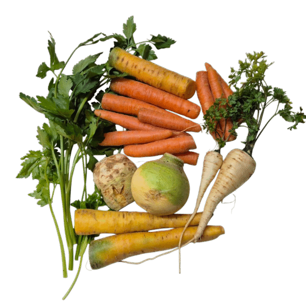 Jušna zelenjava (~1,5kg)