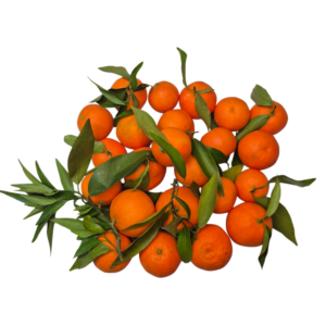 Klementine