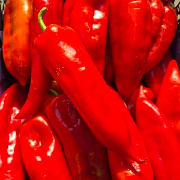 Spic rdeča paprika (500g)